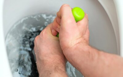 Comment déboucher ses WC sans produit chimique ?